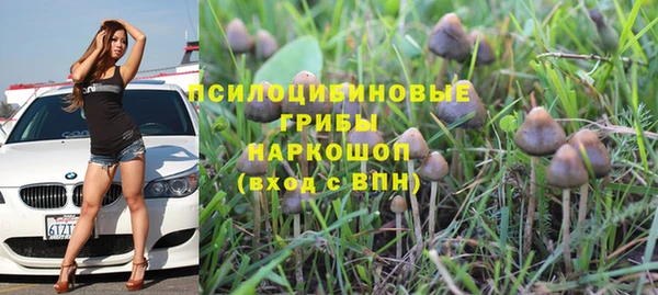 шишки Алексеевка
